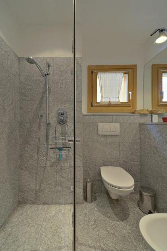 a bathroom with a shower and a toilet and a sink at Chesa Ladina - Zuoz in Zuoz