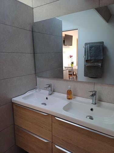 a bathroom with a sink and a mirror at Chambre d'hotes Mas Pékin in Mas-Thibert