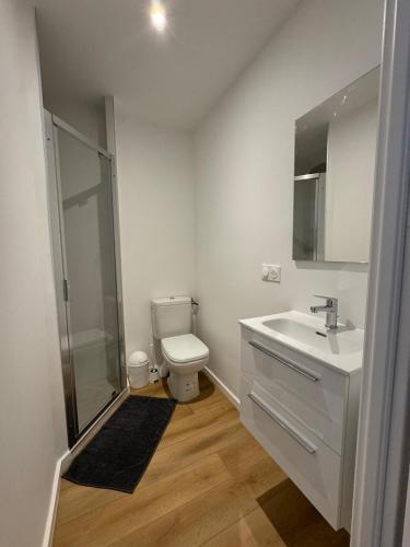 une salle de bain avec toilettes, lavabo et douche dans l'établissement M93 Marquer joli studio Faucigny, à Annemasse