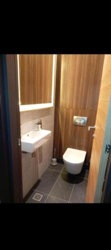 a bathroom with a sink and a toilet at WOODside 70m2 Kopaonik in Kopaonik