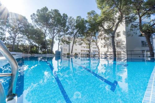 Mediterranean Way - Rits