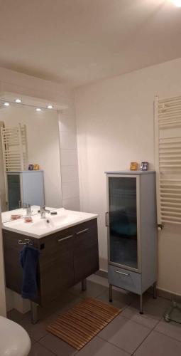 une salle de bain avec un lavabo et un grand miroir dans l'établissement Cosi, à Gex