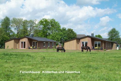 two horses grazing in a field in front of a house at Bauernhof Sauer - Heuerhus in Varel