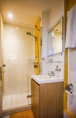 une salle de bain avec un lavabo et une douche dans l'établissement M81 Marquer joli t2 proche de la gare, à Annemasse