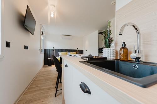 a kitchen with a sink and a refrigerator at Appart Hotel Neostelia in Annecy