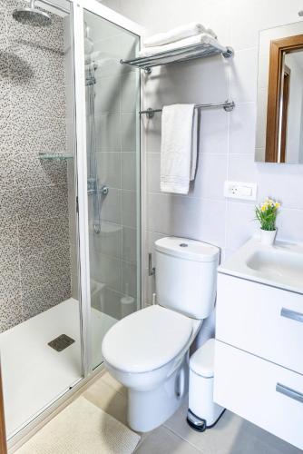 a bathroom with a toilet and a shower at Estancia Julieta in La Orotava