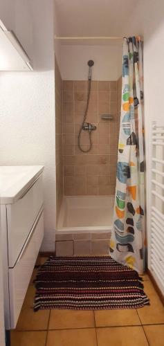 une salle de bain avec une douche avec un rideau de douche dans l'établissement Appartement La Brise Marine, à Quiberon