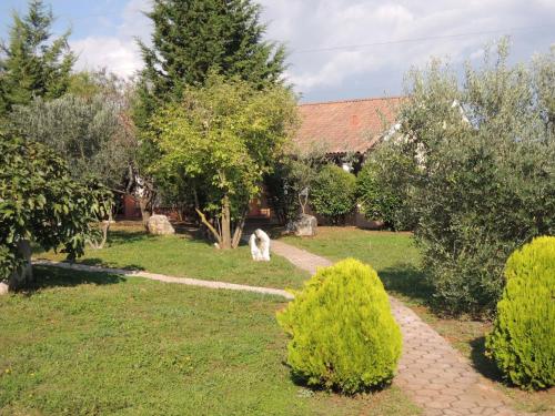 a dog sitting in the grass in a garden at Melisa 6 in Poreč