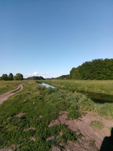a dirt road in a field next to a river at Mediterran Suite in Hoppegarten