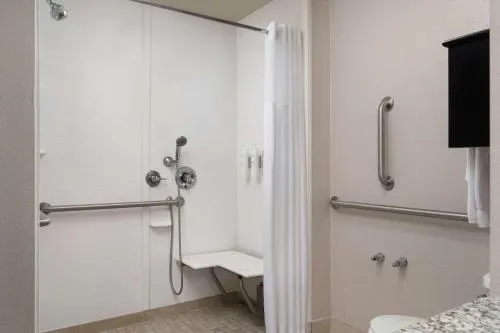 Hampton Inn & Suites Orlando/Downtown South - Medical Center photo 6