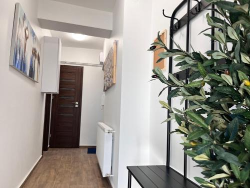 Φωτογραφία από το άλμπουμ του Treasure Land Apartman στο Μίσκολτς