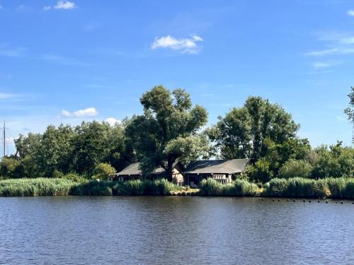 a house on the shore of a lake at Glampingtent de Saskerlei, de Woudhaven in De Woude