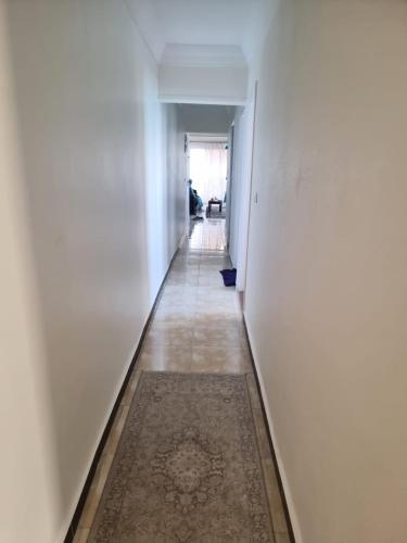 Alex Ajmal Makan Panorama Sea View Miami for family o