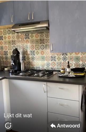 a kitchen with a stove and a counter top at Louisiana in Anloo