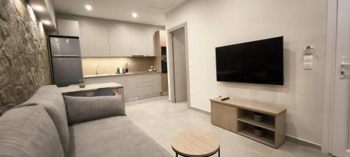 Una sala de estar con un sofá y un televisor de pantalla plana. en Marilia & Myronas Lemnos Apartments, en Mirina