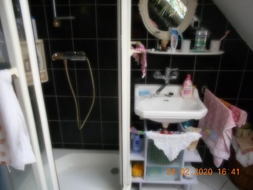 Ένα μπάνιο στο Appartment Dankerode