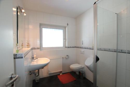 a bathroom with a sink and a toilet and a shower at Ferienhaus Simone ACH001 in Buch