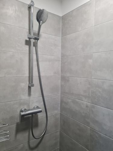 a shower with a shower head in a bathroom at Baltic Apartment in Lambrechtshagen