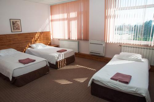Cette chambre comprend 2 lits et 2 fenêtres. dans l'établissement Hostel Izida 2, à Dobritch