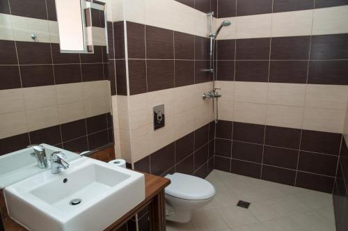 a bathroom with a sink and a toilet and a shower at Hostel Izida 2 in Dobrich