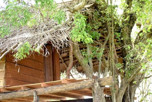 Imagen de la galería de Habarana Tree House Area, en Habarana
