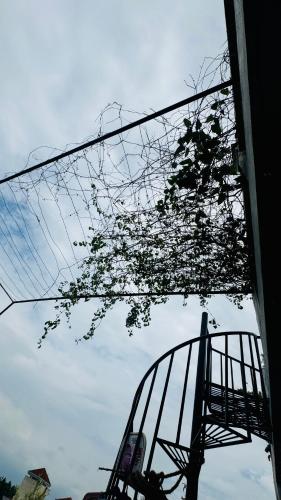 a tree in front of a building with a sky at Transit stay seeduwa in Mukalangamuwa