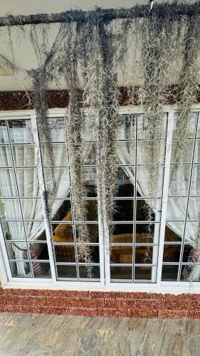 a window of a building covered in spider webs at Transit stay seeduwa in Mukalangamuwa