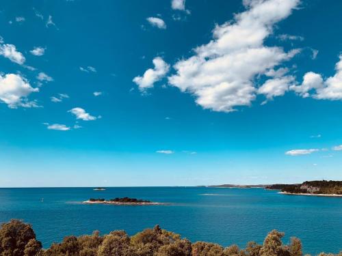 an island in the ocean with a blue sky and clouds at Olivia Valkanela App 1 in Vrsar