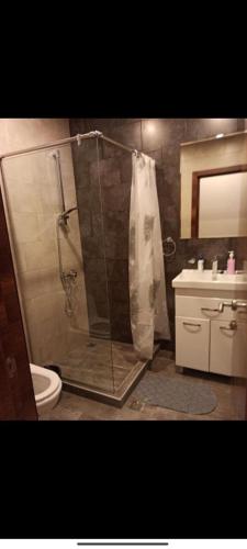 a bathroom with a shower and a toilet and a sink at tsaghkadzor apartment kechi house in Tsaghkadzor