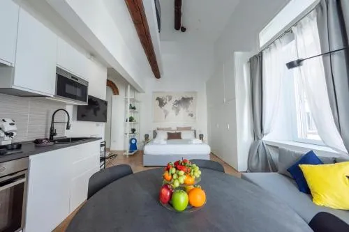 Luxury Loft in Milan City Center & Navigli - DoroteaCity photo 1
