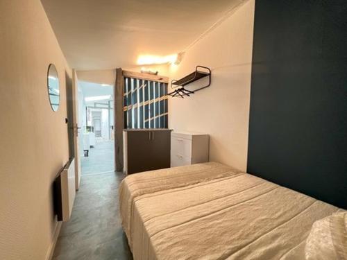 un dormitorio con una cama en una habitación en Le Petit Rive Gauche - Blois, en Blois