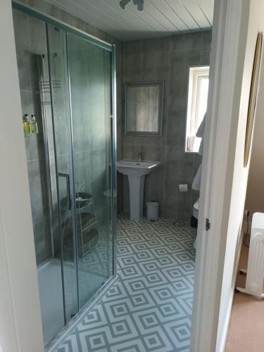 a bathroom with a shower and a sink at Baskerville House in Clyro