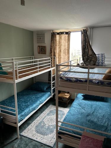 アムステルダムにあるB&B Calypso Amsterdamの二段ベッドが2つと窓のある部屋