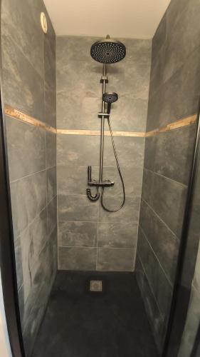 une douche avec pommeau de douche dans une salle de bain dans l'établissement Le provencal, à Puy-Guillaume