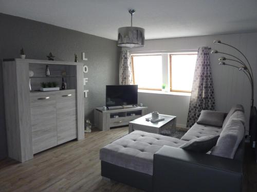 un salon avec un canapé et une télévision dans l'établissement Appartement pied des pistes, à Le Mont-Dore