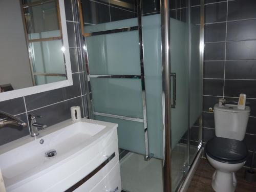 une salle de bain avec un lavabo, des toilettes et une douche dans l'établissement Appartement pied des pistes, à Le Mont-Dore