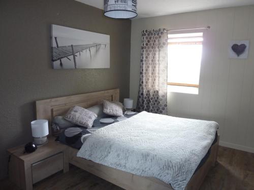une chambre avec un lit et une fenêtre dans l'établissement Appartement pied des pistes, à Le Mont-Dore
