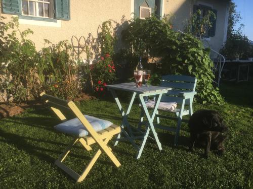 a table and two chairs and a cat in the grass at Kellerstöckl am veganen Bio-Lebenshof "Varm - die vegane Farm" in Bergla
