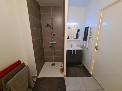 La petite salle de bains est pourvue d'une douche et d'un lavabo. dans l'établissement T2 Design dans résidence neuve, à Billère