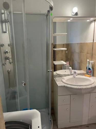 une salle de bain avec douche et lavabo dans l'établissement Appart 2 pièces proche plage, à Saint Pierre La Mer