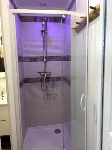 une douche avec une porte vitrée dans une salle de bain dans l'établissement Appartement avec cour 3, à Briare