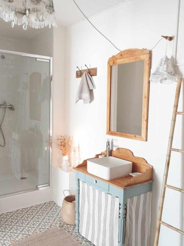 une salle de bain avec un lavabo, un miroir et une douche dans l'établissement Mini loft, Sainte Hermine, à La Chapelle-Thémer