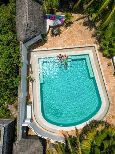 an overhead view of a swimming pool with two people at Villa Malaika in Jambiani