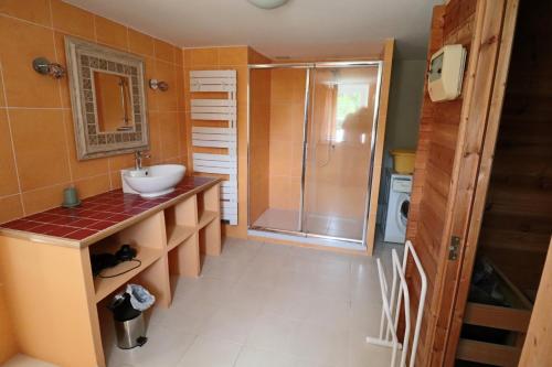 une salle de bain avec un lavabo et une douche dans l'établissement 711- Spacieuse ferme bretonne avec sauna et grand, à Beuzec-Cap-Sizun