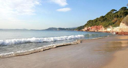 Photo de la galerie de l'établissement Apparemment cosy le pradet, au Pradet