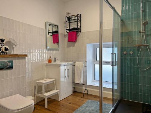 Koupelna v ubytování Apartment 481 - Clifden