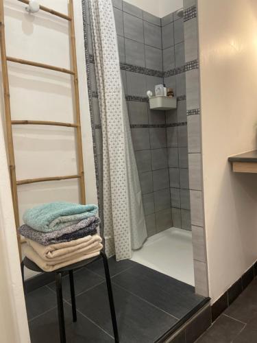 La salle de bains est pourvue d'une douche et d'une chaise avec des serviettes. dans l'établissement Appt 2 chambres au centre ville 3è, à Marseille