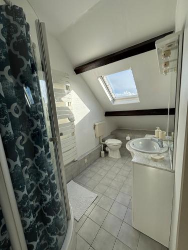 une salle de bain avec une douche, un lavabo et des toilettes dans l'établissement La p'tite maison de cerisel avec piscine privée, à Les Chéris