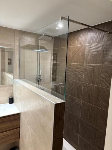 une salle de bain avec douche et lavabo dans l'établissement Coco Room Colmar, à Colmar