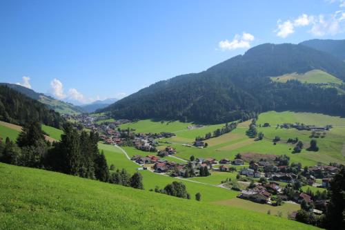 a green valley with a village in the mountains at Ferienwohnung Prent Wildschönau WILD023 by FeWo-Plan in Dorf